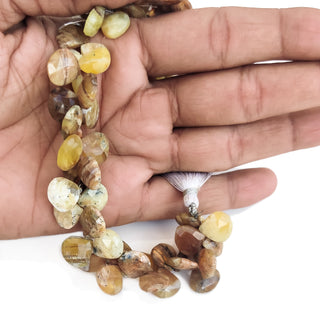 Crazy Lace Agate Faceted Heart Shaped Beads, 9mm to 15mm Yellow Lace Agate Gemstone Beads For Jewelry, 8 Inch Strand, GDE135