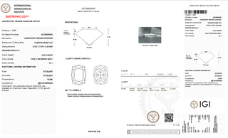 IGI Certified 3.92CTW Cushion Shaped Fancy Brownish Grey VS1 Clarity Lab-Grown Diamond - Perfect for Engagement Rings, Ready to Ship, LG109