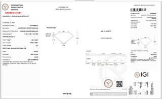IGI Certified 1.00CTW Cushion Shaped Fancy Grey SI2 Clarity Lab-Grown Diamond - Perfect for Engagement Rings, Ready to Ship, LG113
