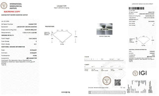 Cushion Cut Lab Grown Diamond - 5.04CTW E/VS1 (TV734)