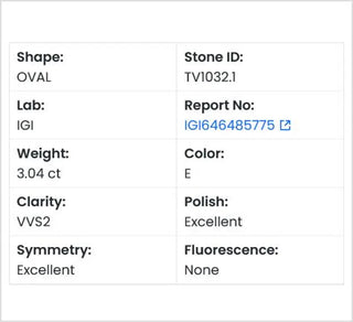 Oval Shaped Lab Grown Diamond - 3.04CTW E/VVS2 (TV1032)