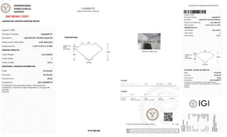 Oval Shaped Lab Grown Diamond - 3.04CTW E/VVS2 (TV1032)