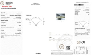 Oval Shaped Lab Grown Diamond - 7.05CTW F/VVS2 (TV573)