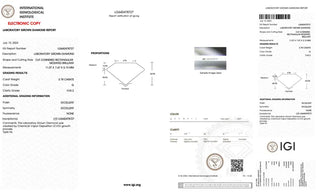 Radiant Cut Lab Grown Diamond - 3.78CTW G/VVS2 (TV427)