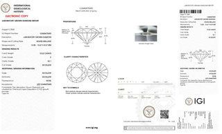 Round Brilliant Cut Lab Grown Diamond - 10.02CTW E/VS1 (TV1056)