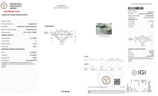 Round Brilliant Cut Lab Grown Diamond - 1.01CTW D/VVS2 (TV981)