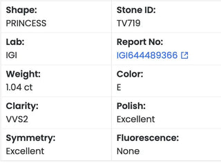 Princess Cut Lab Grown Diamond - 1.04CTW E/VVS2 (TV719)