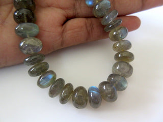 AAA Natural Labradorite Smooth Rondelles Beads, 10mm Labradorite Beads, 4 Inch Half Strand, GDS193