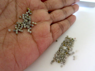 2 Carats/10 Carats Tiny 1mm to 2mm Natural Grey Raw Loose Diamond Box Beads, Undrilled Natural Rough Uncut Diamond Cubes, Sku-DDS274/1
