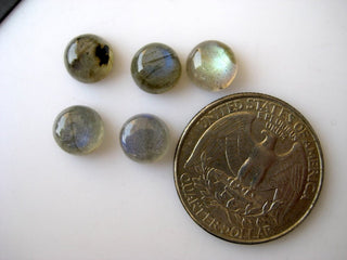 20 Pieces 8x8mm Each Natural Labradorite Round Shaped Smooth Flat Back Loose Cabochons BB248
