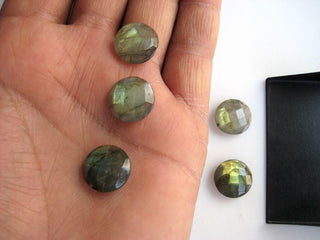 10 Pieces 13mm Each Natural Labradorite Round Coin Shaped Both Side Faceted Loose Gemstones BB80