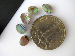 20 Pieces 8x6mm Approx. Natural Abalone Shell Oval Shaped Cabochons Black Mother of Pearl Smooth Flat Back Gemstone Cabochons BB154