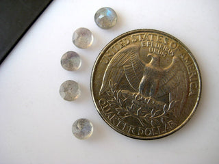 50 Pieces 4x4mm Natural Labradorite Round Shaped Flat Back Faceted Loose Cabochons BB252