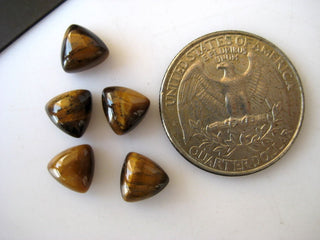 20 Pieces 8x8mm Each Tigers Eye Trillion Shaped Brown Color Flat Back Smooth Loose Cabochons BB276
