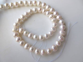 White Fresh Water Pearl Round Beads, Natural Cultured Pearls, High Lustre Loose Pearls, 1 Strand, 15 Inches, 7mm To 8mm Each, SKU-FP32