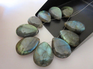 10 Pieces Labradorite Pear Shaped Briolette Beads, 15x20mm Beads, Labradorite Gemstone Beads, DDS886