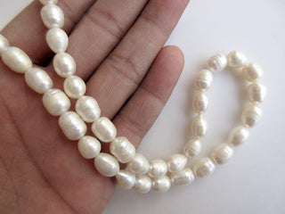 White Centre Drilled Fresh Water Potato Pearl Beads, High Lustre Fancy Shaped Loose Pearls, 15 Inches, 10mm To 12mm Each, SKU-FP46