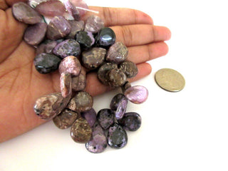 Charoite Pear Beads, Charoite Smooth Pear Shaped Briolette Beads, Natural Charoite Gemstone Beads, 10/12/15mm Chroite Beads, GDS1113