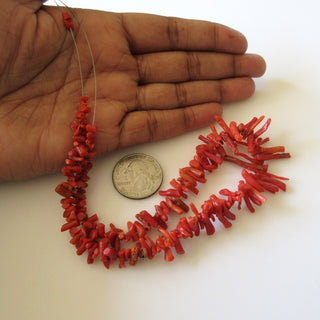 Large Natural Coral Branch Beads, Red Italian Coral Branch, Top drilled Original Italian Coral Sticks, 6mm To 25mm/10 Inches Approx, GDS1245