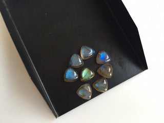 8x8mm Each Labradorite Trillion Shaped Smooth Black with Flashes of Blue Loose Cabochons, Sold As 10 Pieces/50 Pieces, L5