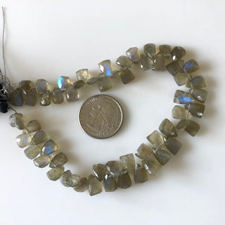 9.5mm to 10mm Natural Labradorite Faceted Trillion Shaped Briolette Beads, Flashy Blue Labradorite Beads, Sold As 4.75"/9.5" Strand, GDS1825