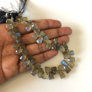 9.5mm to 10mm Natural Labradorite Faceted Trillion Shaped Briolette Beads, Flashy Blue Labradorite Beads, Sold As 4.75"/9.5" Strand, GDS1825