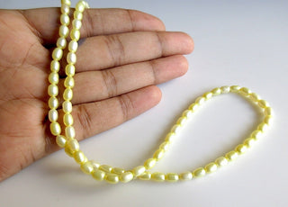 Seed Pearls, Fresh Water Pearls, Loose Pearls, Fancy Pearls, Yellow Pearls, 15 Inches, 4x5mm Each, SKU-FP6