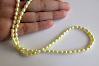 Seed Pearls, Fresh Water Pearls, Loose Pearls, Fancy Pearls, Yellow Pearls, 15 Inches, 4x5mm Each, SKU-FP6