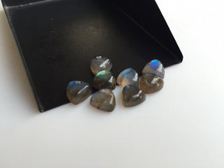 8x8mm Each Labradorite Trillion Shaped Smooth Black with Flashes of Blue Loose Cabochons, Sold As 10 Pieces/50 Pieces, L5