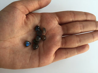 8x8mm Each Labradorite Trillion Shaped Smooth Black with Flashes of Blue Loose Cabochons, Sold As 10 Pieces/50 Pieces, L5