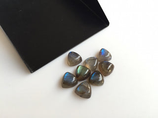 8x8mm Each Labradorite Trillion Shaped Smooth Black with Flashes of Blue Loose Cabochons, Sold As 10 Pieces/50 Pieces, L5