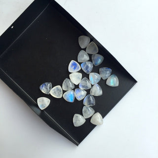 20 Pieces 8mm Matched Pairs AAA Rainbow Moonstone Trillion Shaped Smooth Loose Gemstones SKU-MS45