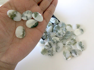 6 Pieces 16mm to 18mm Each Natural Moss Agate Faceted Rose Cut Flat Cabochons RS72